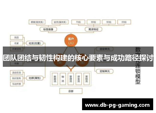 团队团结与韧性构建的核心要素与成功路径探讨 团队团结与韧性构建的核心要素与成功路径探讨