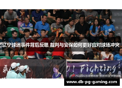 辽宁球迷事件背后反思 裁判与安保如何更好应对球场冲突